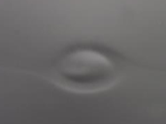 Knots: Defect Analysis in Soda-Lime Glass